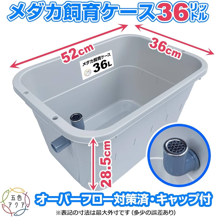 【新仕様】メダカ飼育ケース 36㍑x4個（4色から選択） オーバーフロー加工付 Amazon | 五色アクア メダカ飼育容器 36リットル グレー（灰色